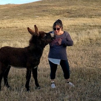 Custer State Park - Explaining to Bugsy that he can't go... he's not people - Parks Near Me - Custer, South Dakota Custer State Park - Explaining to Bugsy that he can't go... he's not people - Parks Near Me - Custer, South Dakota