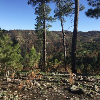 Black Hills National Forest - Parks Near Me - Custer, South Dakota Black Hills National Forest - Parks Near Me - Custer, South Dakota