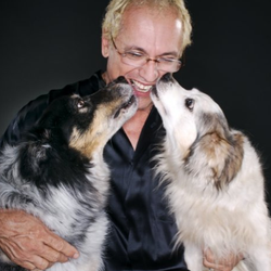 The Dog From Ipanema - Jarbas and his dogs!
