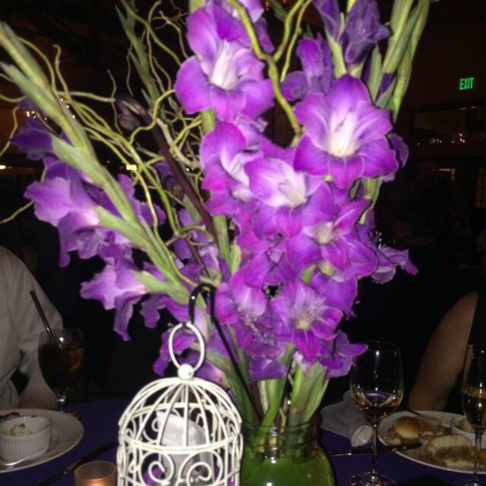 The Singing Orchid - Florists Near Me