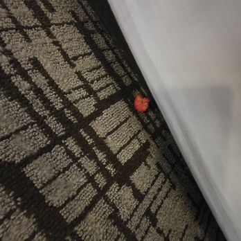 Treasure Island - Whole cheeto under bed - Hotels Near Me - Las Vegas, Nevada Treasure Island - Whole cheeto under bed - Hotels Near Me - Las Vegas, Nevada
