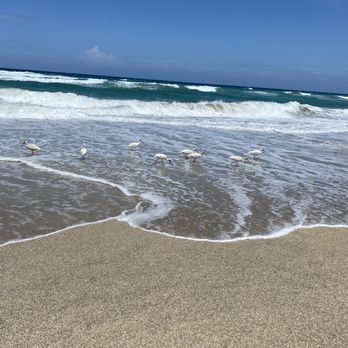 Jensen Beach - Beaches Near Me - Jensen Beach, Florida