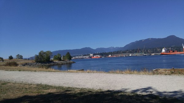 New Brighton Park by null