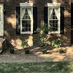 Crenshaw Landscaping - New Landscaping