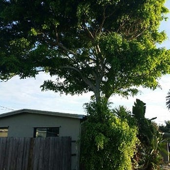 Genesis Tree Service - Tree Services Near Me Genesis Tree Service - Tree Services Near Me
