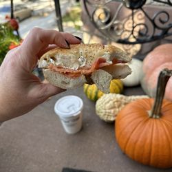 Bagel Villa - Everything bagel w a light on the cc and salmon so good!