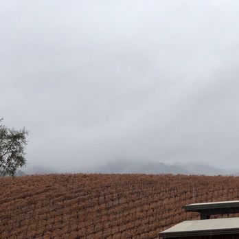 Opolo Vineyards - Autumn views of fog and vines - Wineries Near Me - Paso Robles, California Opolo Vineyards - Autumn views of fog and vines - Wineries Near Me - Paso Robles, California