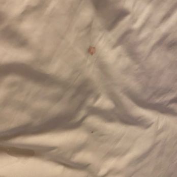 Wild Palms Hotel - Blood on the sheets and blankets - Hotels Near Me - Sunnyvale, California Wild Palms Hotel - Blood on the sheets and blankets - Hotels Near Me - Sunnyvale, California