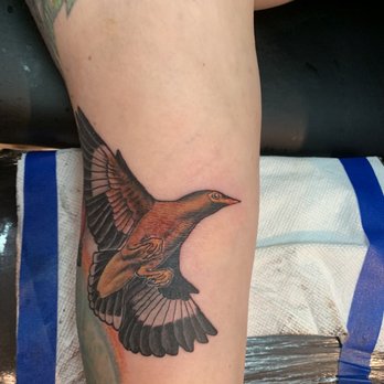 K Town Tattoo - Mynah bird - Piercing Near Me - Kailua-Kona, Hawaii