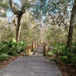 Palmetto Leaves Regional Park