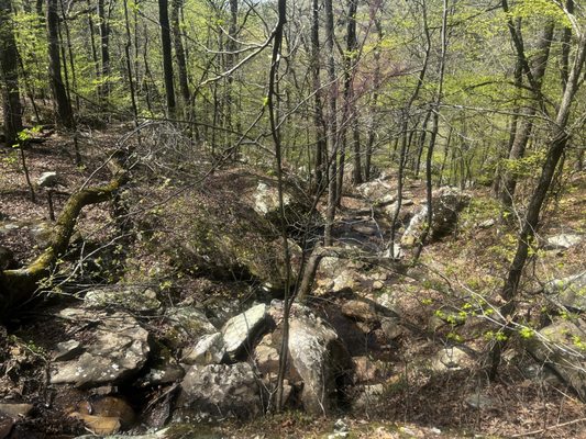 Petit Jean State Park Lake by null