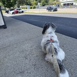 Hot Dog Avenue - No outdoor seating for me and my hotdog.