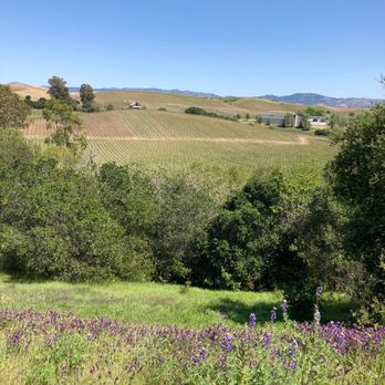 Laces and Limos - Wine Tours Near Me - Napa, California