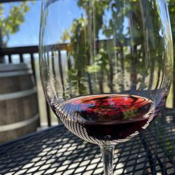 Karah Estate Vineyard - Enjoying a nice wine!