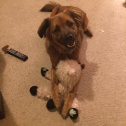 As you can tell, he's a killer....