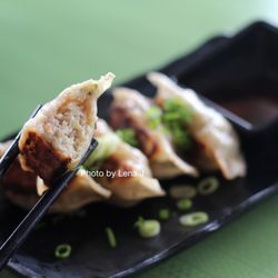 I Luv Dumplings - Ginger pork gyoza ($11) - skin is very delicate, and filling is very finely ground