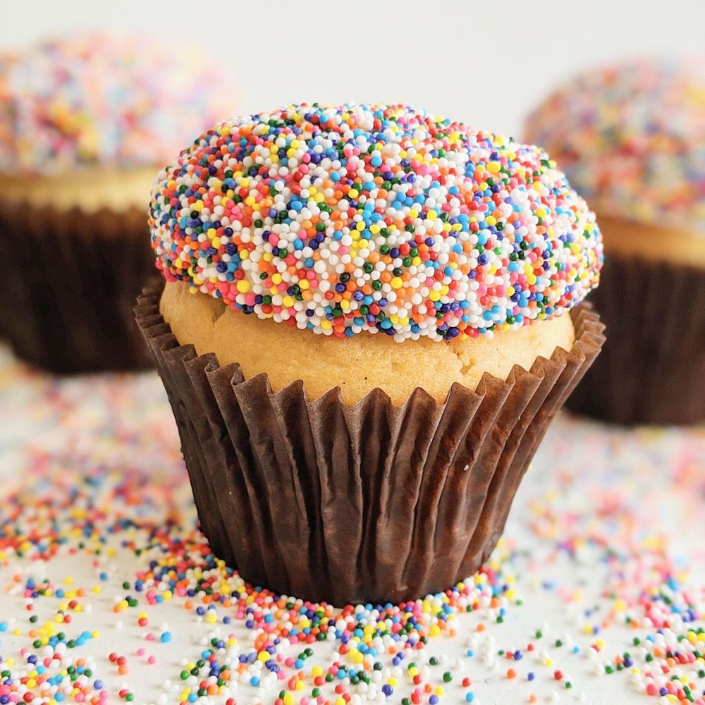 smallcakes dog cupcake