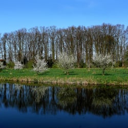 Schlosspark Haseldorf