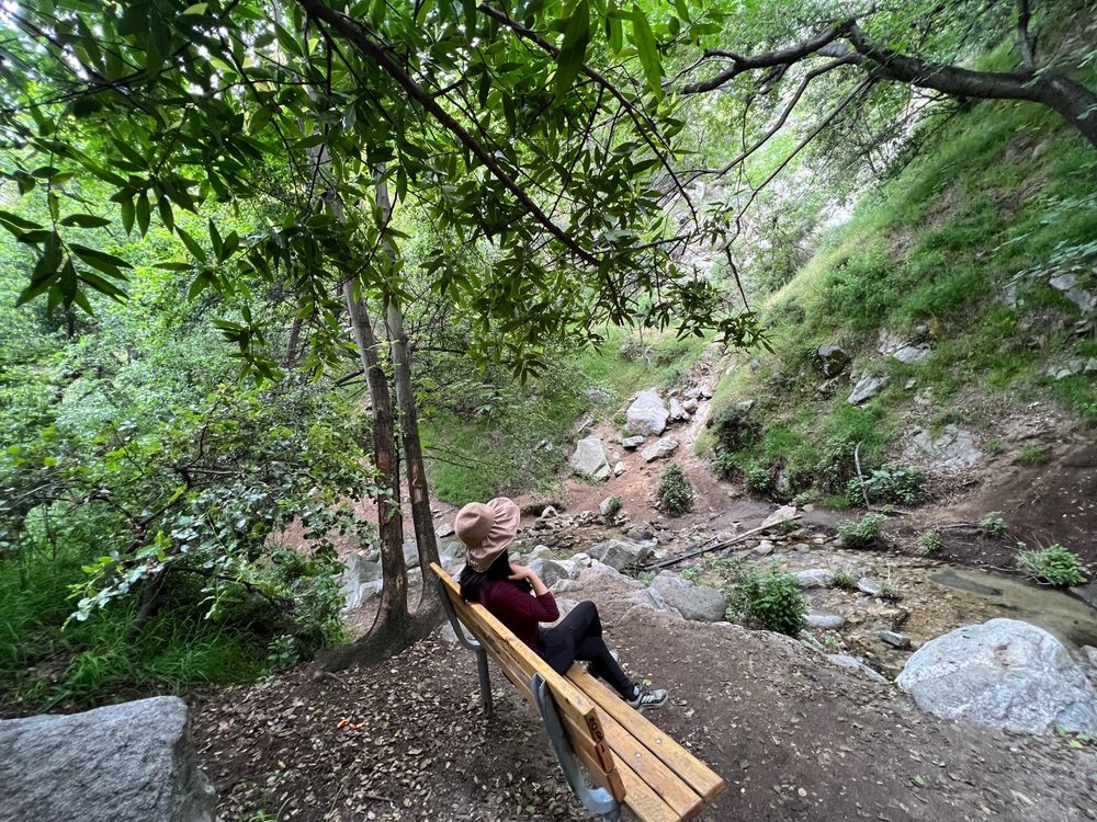 Mt. Wilson Trail Logo