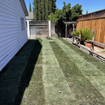 JP Landscaping - 1st property after picture - Landscaping Near Me JP Landscaping - 1st property after picture - Landscaping Near Me