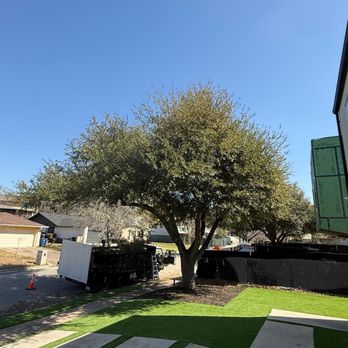Big Texas Tree & Land Services - Tree Services Near Me Big Texas Tree & Land Services - Tree Services Near Me