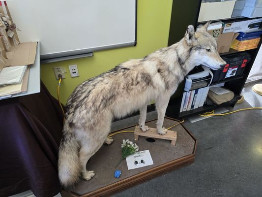 Vasquez Rocks Natural Area and Nature Center by null