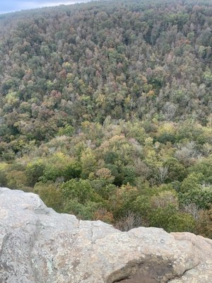Hawksbill Crag/Whitaker Point by null