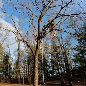 Lumber John's Tree Service - Tree Services Near Me Lumber John's Tree Service - Tree Services Near Me