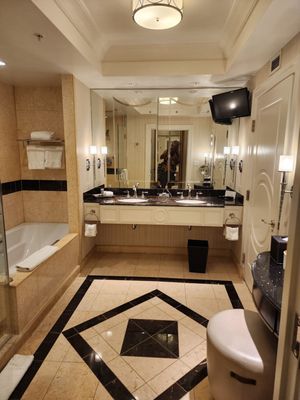 The Palazzo at The Venetian Resort by null