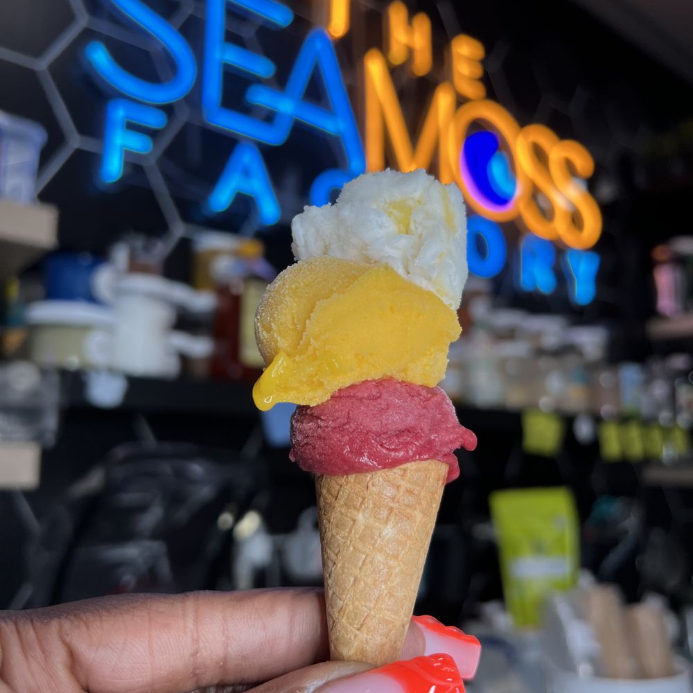 THE SEA MOSS FACTORY - Updated February 2026 - 54 Photos - 306 B