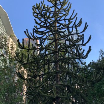 Salesforce Park - Parks Near Me - San Francisco, California