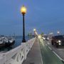 Photo of Venetian Causeway