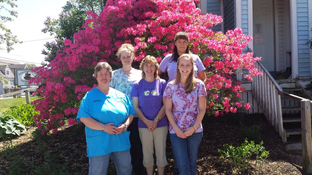 DAMARISCOTTA VETERINARY CLINIC Updated September 2024 14 Photos