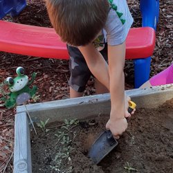 4 Seasons Early Learning Center - Getting dirty in the garden