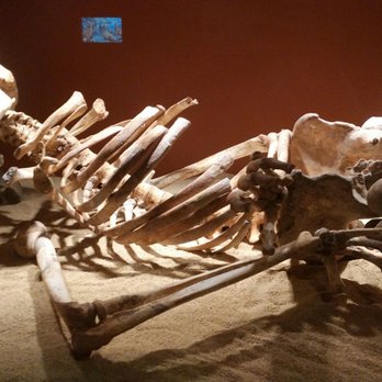 Museo Cueva de Nerja - Museums Near Me - Nerja, Massachusetts