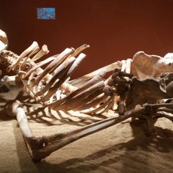 Museo Cueva de Nerja
