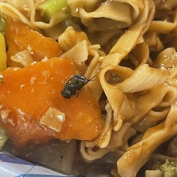 Mai Vietnamese Cuisine - Dead fly in my Chicken Chow Mein. So disgusting. - Vietnamese Near Me - Cotati, California Mai Vietnamese Cuisine - Dead fly in my Chicken Chow Mein. So disgusting. - Vietnamese Near Me - Cotati, California