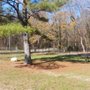 Photo of City of Lafayette Dog Park