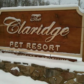 The Claridge Pet Resort - Pet Sitting Near Me - Collierville, Tennessee The Claridge Pet Resort - Pet Sitting Near Me - Collierville, Tennessee