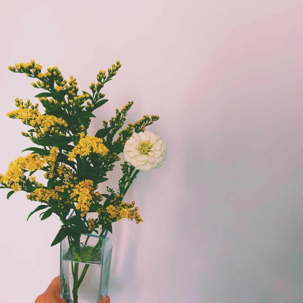 Stolen Magnolia - Florists Near Me - Brooklyn, New York Stolen Magnolia - Florists Near Me - Brooklyn, New York