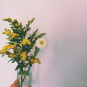 Stolen Magnolia - Florists Near Me - Brooklyn, New York Stolen Magnolia - Florists Near Me - Brooklyn, New York
