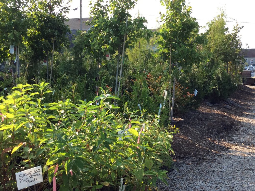 BLUEGRASS GARDEN CENTER Updated September 2024 626 Westport Rd, Elizabethtown, Kentucky