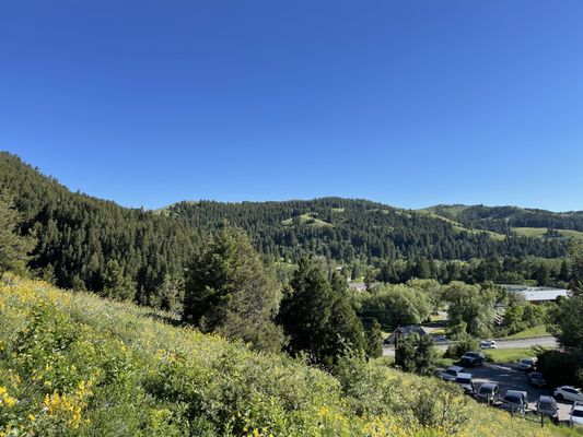 College M Trailhead and Picnic Area by null