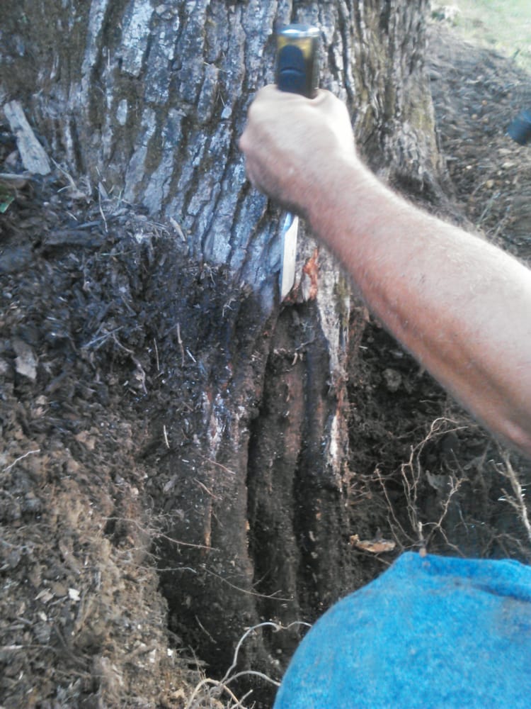 Slide of Fortner Construction and Tree Service