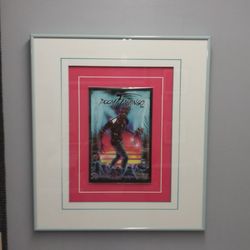 Picture This Framing - Doom flamingo comic