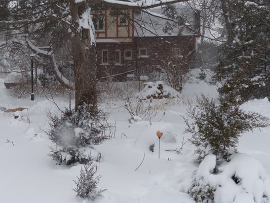 Bonnybank Bed and Breakfast by null