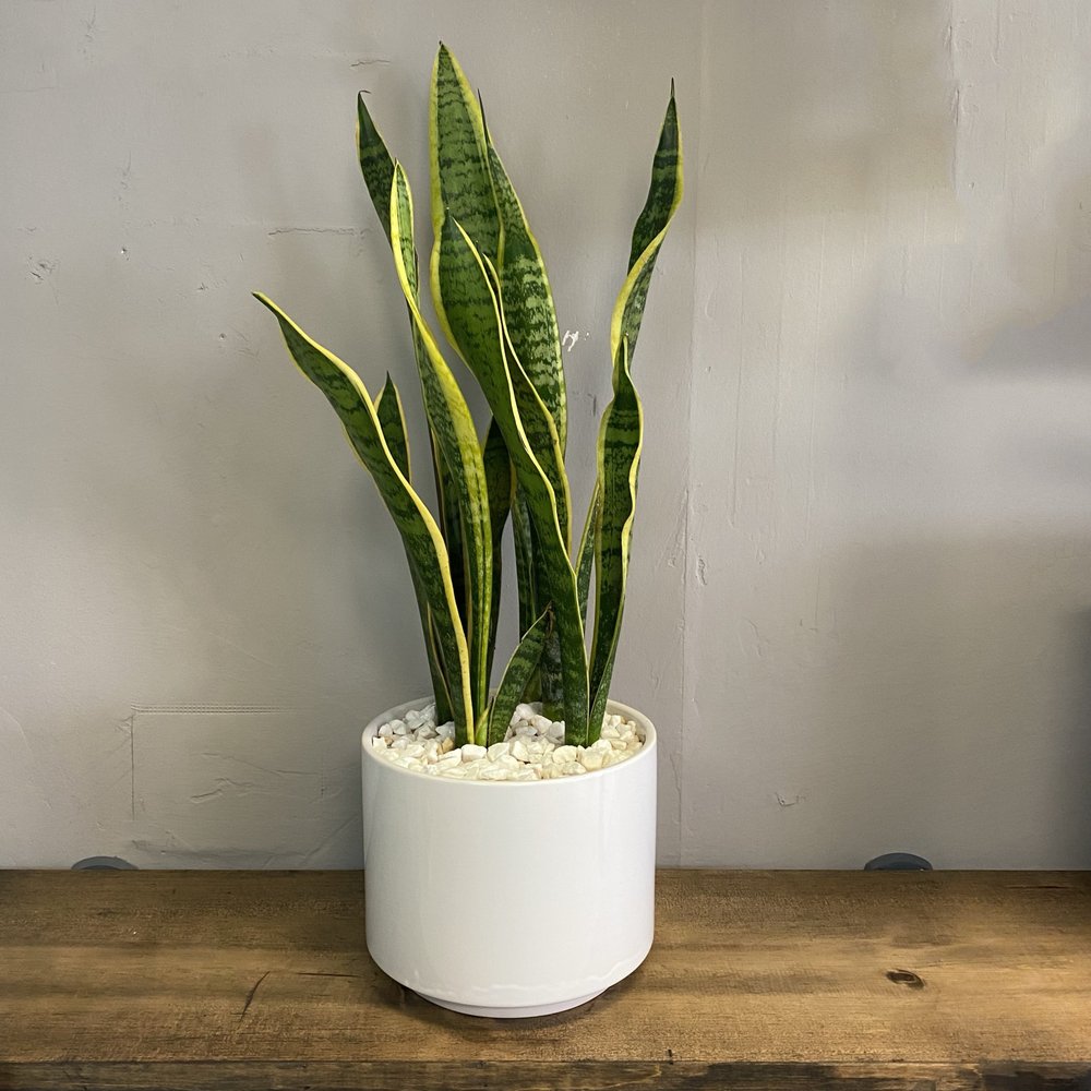 FLOWERCHILD FLORIST Updated September 2024 18 Photos 3718 S Elm