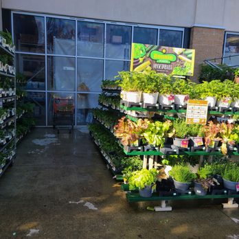 The Home Depot - Seasonal plantings have invaded our Grants Pass Home Depot - Nurseries & Gardening Near Me - Grants Pass, Oregon The Home Depot - Seasonal plantings have invaded our Grants Pass Home Depot - Nurseries & Gardening Near Me - Grants Pass, Oregon