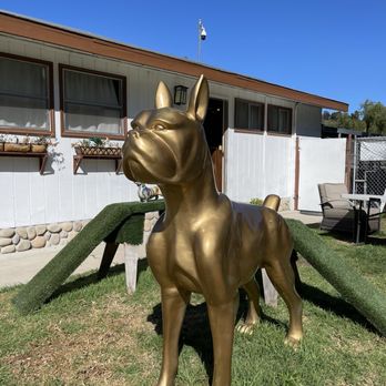Master Dog Training - Potty area - Pet Training Near Me - Topanga, California Master Dog Training - Potty area - Pet Training Near Me - Topanga, California
