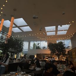 Dinner Ambiance